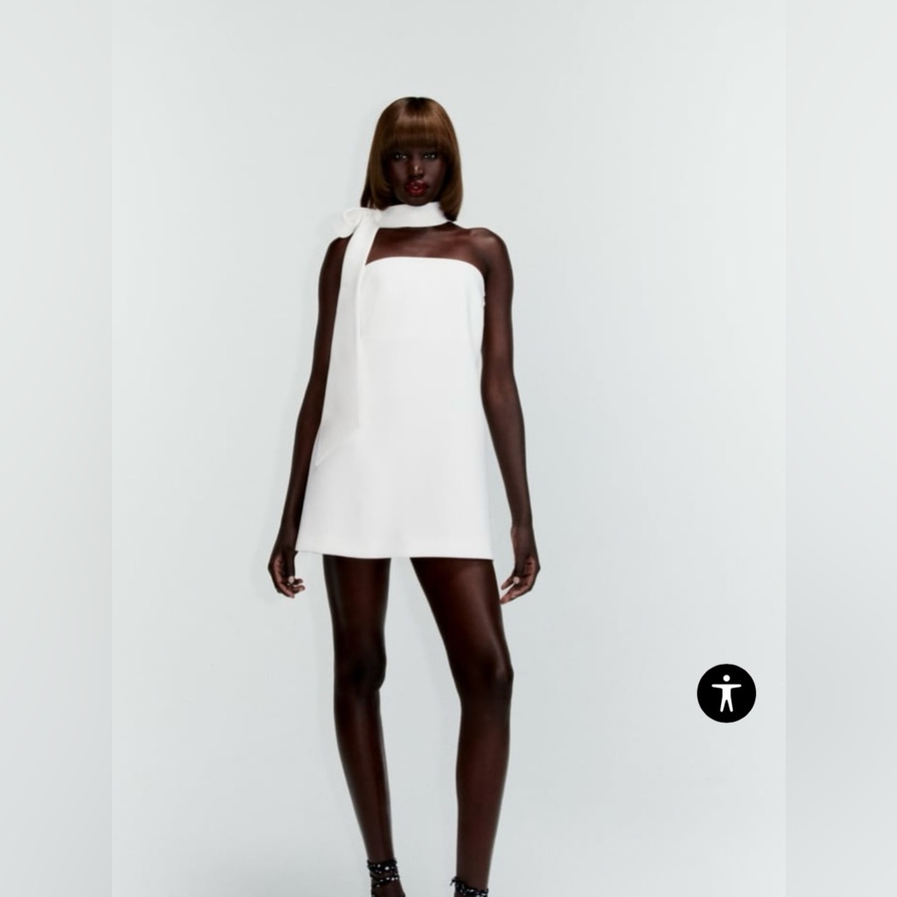 Zara Choker Mini Dress Size L